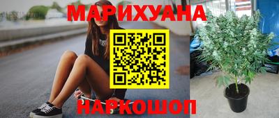 мдпв Пугачёв